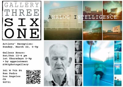 Gallery Three Six One proudly presents, for its Inaugural Exhibition, “Analog Intelligence”